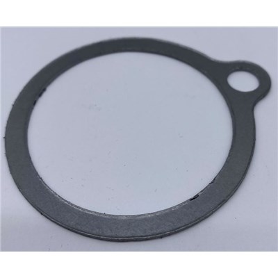 A22284-1 Armstrong Body Gasket