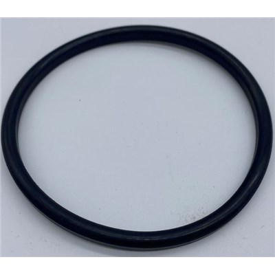 Armstrong Filter  Housing Gasket  EPDM