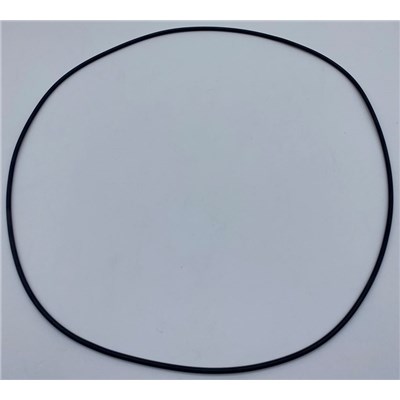 A21374 O-Ring for Steam Generator/Tank