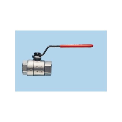 Bonomi 700023 1.25-in SS Ball Valve